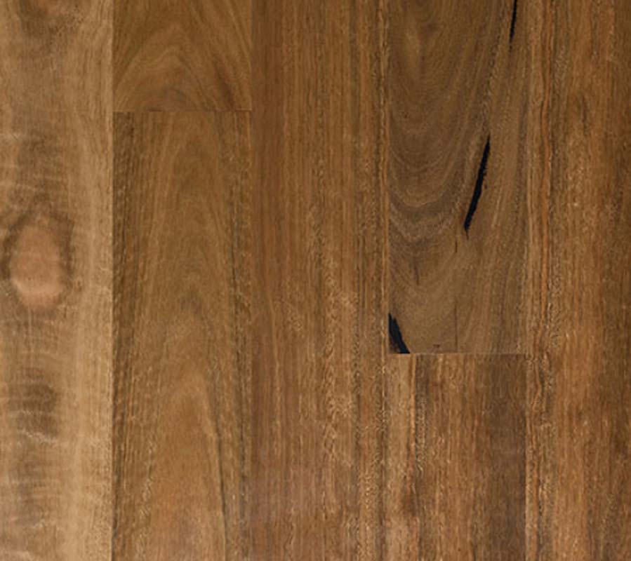 Engineered Floating Flooring Spotted Gum